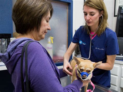 Hospitales veterinarios en Tomares